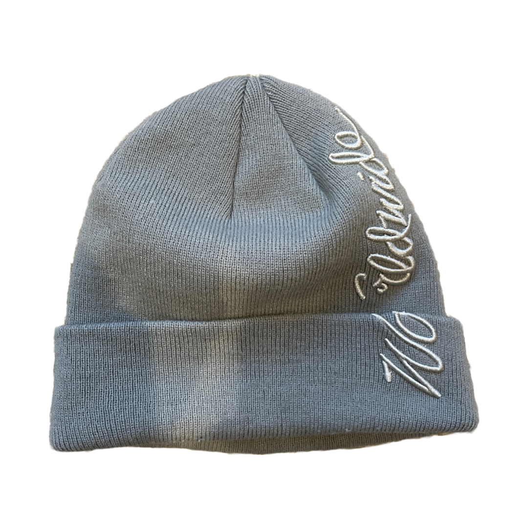 Stussy Worldwide Beanie