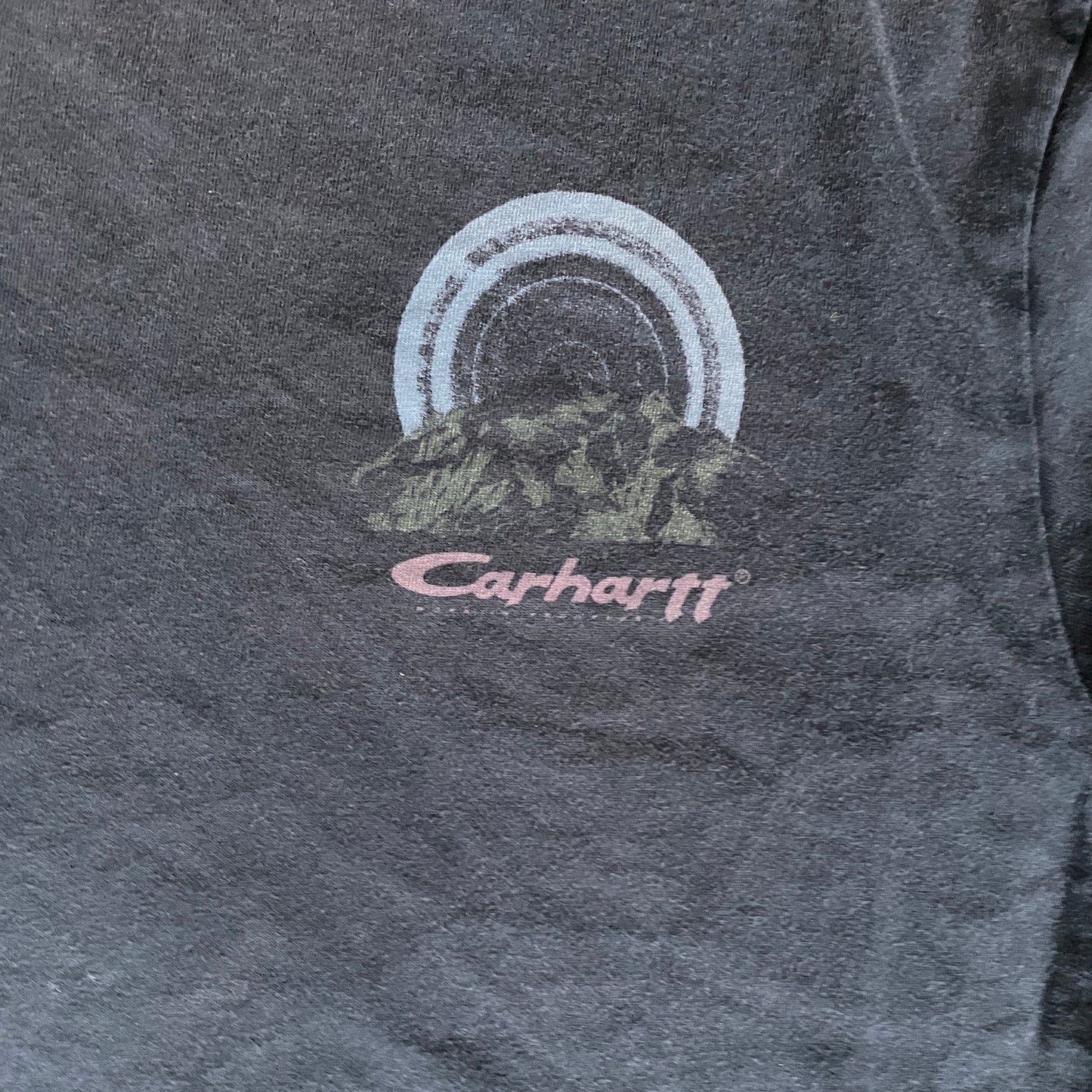 Carhartt Mountain Range Tee