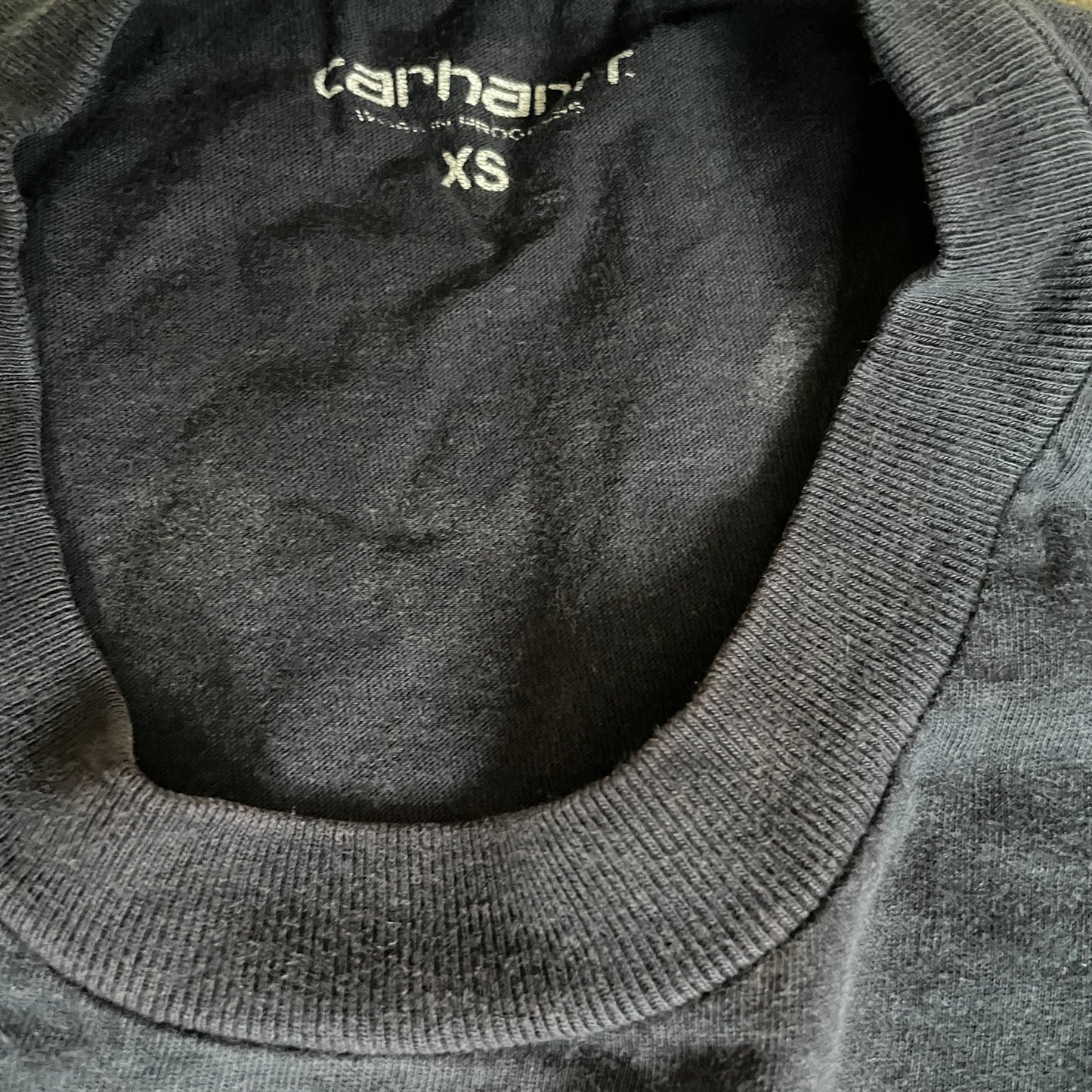 Carhartt Mountain Range Tee