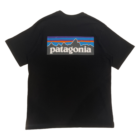 Patagonia Logo Tee